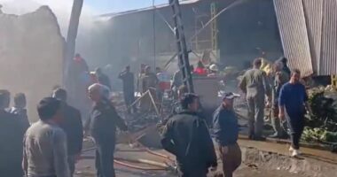 VIDEO/ Rrëzohet helikopteri ushtarak iranian në tregun e frutave, katër të vdekur