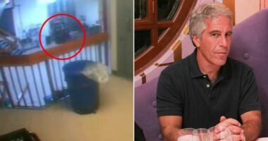 Të papublikuara më parë/ Momenti kur rojet e burgut gjetën pa shenja jete Jeffrey Epstein