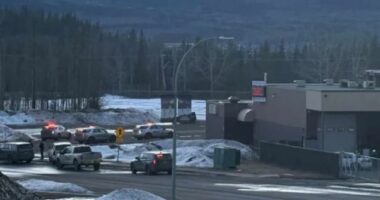 Identifikohet 18-vjeçarja e dyshuar për sulmin në Kanada që la 9 të vdekur