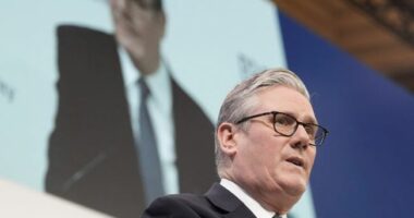 Starmer paralajmëron: Europa duhet të jetë gati për luftë