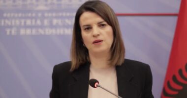 Protesta/ Koçiu: Berisha një dhunues përsëritës i sulmeve ndaj institucioneve. Dhunuesit e policëve do përballen me ligjin!