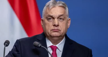 Orban vendos ushtrinë në objektet energjetike, akuzon Ukrainën për “bllokadë nafte”