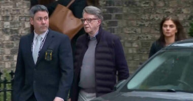 “Epstein”, lirohet Mandelson/ Ish-ambasadori britanik u arrestua dhe u lira me kusht