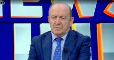 Sondazhi: Molotovët “zhytën” Berishën/ Leka: PD në rënie. Berisha nuk ka as kauzë dhe as mbështetës