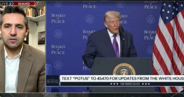 Bordi i Paqes/ Eksperti: Realiteti do të jetë i komplikuar. Kosova dhe Shqipëria trupa në Gaza, veprim i zgjuar