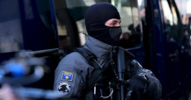 Mashtrim me prona në vlerë 1.57 milion euro në Prishtinë, katër të arrestuar