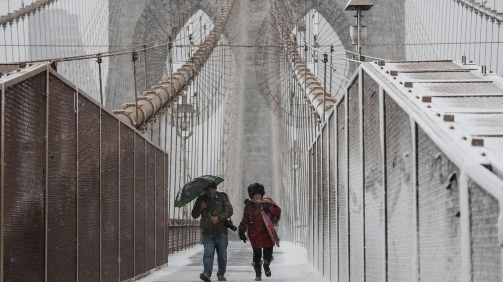 Stuhia e fuqishme dimërore godet verilindjen e SHBA së  New York ndalon udhëtimet