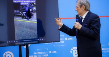 Berisha krijon 21 Janarin e vet/ Kreu i PD: Molotovët, i hodhi policia