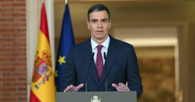 Shpjegimi i Sanchez për emigrantët/ Kryeministri i Spanjëa reagon ashpër ndaj kritikëve