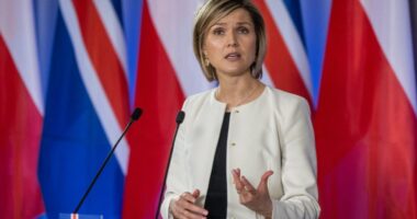 Kryeministrja e Islandës: Do të mbajmë referendum për anëtarësimin në BE