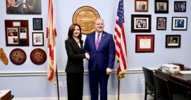 Spiropali takime në Kongresin dhe Senatin Amerikan: Rritje e bashkëpunimit mes Shqipërisë dhe SHBA