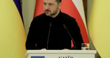 Zelensky: SHBA synon përfundimin e luftës në Ukrainë deri në qershor