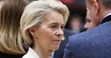 A do të zbatohet përkohësisht marrëveshja për Mercosur? Von der Leyen po llogarit rreziqet