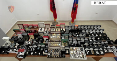 Shiste mallra kontrabandë, procedohet pronari i subjektit në Berat