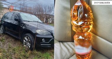 “Livadhet 3”, arrestohet 19-vjeçari/ Në banesë iu gjetën para të falsifikuara, municion luftarak e lëndë djegëse