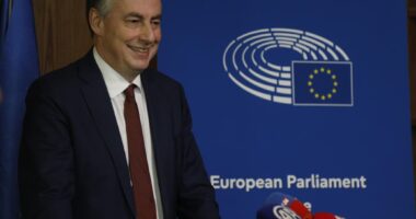 “Të shqetësuar për polarizimin politik”, McAllister: Protestat e dhunshme nuk kanë vend në një demokraci funksionale