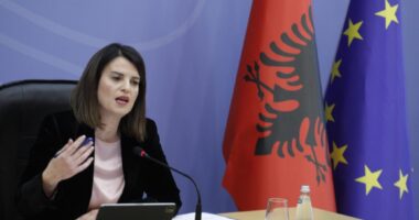 Protesta e PD, Policia nuk jep leje/ Koçiu: Autorët e dhunës do të përgjigjen para ligjit