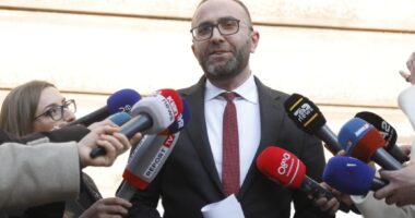 Gardhi i zotit Bardhi/ Deklaratat për Ballukun dhe akrobacitë me thëniet për Berishën