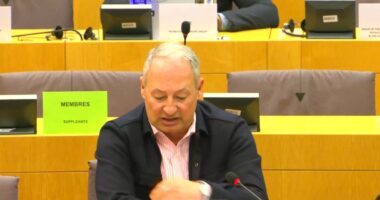 “Ka radikalizim për të bërë politikë në rrugë”, Schieder: Objektivi për 2027 në BE shumë më i arritshëm