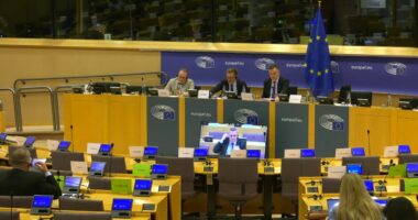 PE me Shqipërinë, Beleri me Berishën/ Eurodeputetët diskutojnë raportin: Berisha të lërë molotovët!