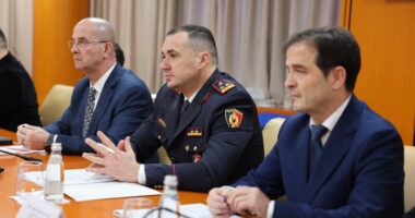 Lufta kundër armëve të zjarrit/ Policia e Shtetit forcon bashkëpunimin me partnerët europianë