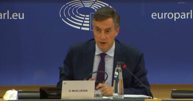 McAllister raporton në PE për Shqipërinë: Protestat e dhunshme nuk janë të pranueshme në një shoqëri demokratike