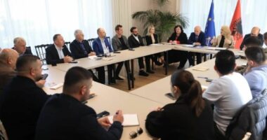 AKU mbledh prodhuesit e bukës dhe importuesit e miellit, Gjylameti: Bashkëpunimi me biznesin, çelësi për produkte më të sigurta 