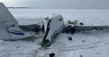 Aksident ajror në Rusi, vdesin tre persona