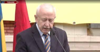 Ukraina, 4 vite në luftë/ Ambasadori Shkurov: Kievi kërkon paqe afatgjate, jo konflikt të ngrirë. Mirënjohje për Shqipërinë!