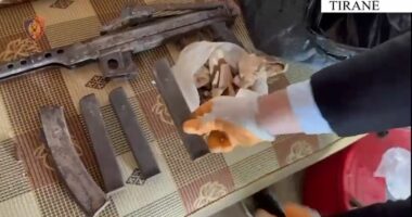 Iu gjetën në banesë 2 armë zjarri dhe 3 armë gjahu/ Tiranë, arrestohet 63-vjeçari