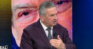 “Tubimi si organizata e Hamasit”/ Avokati: Protesta kishte të gjithë elementët e kryengritjes së armatosur, Berisha organizatori!