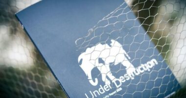 Raporti i Sigurisë së Mynihut 2026: Bota ka hyrë në një epokë të rrezikshme të “politikës së shkatërrimit”