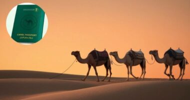 Devetë me pasaportë zyrtare/ Arabia Saudite ‘thyen rregullat’