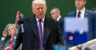 Video raciste me çiftin Obama/ Trump “lan duart”: Nuk e kisha parë, nuk do ta lejoja