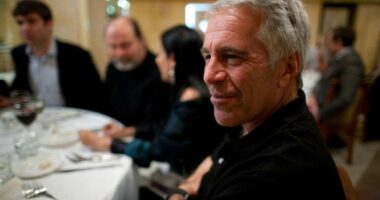 Epstein, mesazhi misterioz nga qelia/ Video selfie 37 sekonda e regjistruar në burgun në dokumentet e publikuara