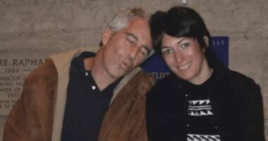 Përmendet mbi 1 mijë herë! Kush është njeriu që tentoi t’i pastronte imazhin Epstein