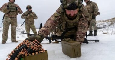 Vazhdojnë sulmet në Ukrainë dhe Rusi në prag të bisedimeve të paqes në Gjenevë