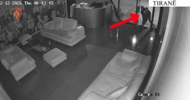 Të akuzuar për 12 vjedhje/ Goditet grupi kriminal në Tiranë, arrestohen 3 persona