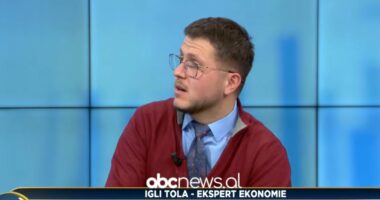 E ardhmja e punësimit në epokën e Inteligjencës Artificiale/ Tola: Bizneset shqiptare, investime të kufizuara në teknologji!