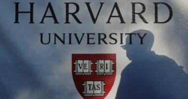 Pentagoni i jep fund lidhjeve akademike me Universitetin e Harvardit