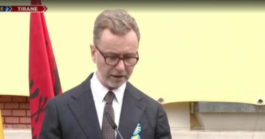 4 vite luftë në Ukrainë/ Gonzato: BE mbetet e angazhuar për paqen, Rusia do përballet me sanksione