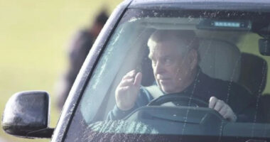 Ish-princit Andrew i bastisen pronat një ditë pas lirimit nga arresti