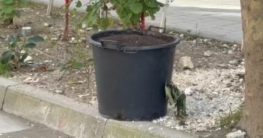 Gjendet një kovë me përzjerje kimike në Vlorë, rrezik shpërthimi