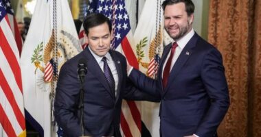 Në garë për zgjedhjet presidenciale, përçarje mes JD Vance dhe Rubios?