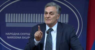 Sinisha Karan zgjidhet president i Republikës Sërpska