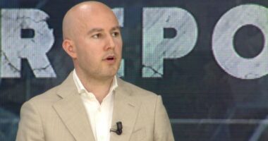 “SHBA kërkon ndryshime radikale në Europë”, Krisafi: ‘Kritika’ për ideologjinë dhe emigracionin masiv