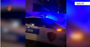 U kap duke kultivuar bimë narkotike, arrestohet 39-vjeçari në Krujë