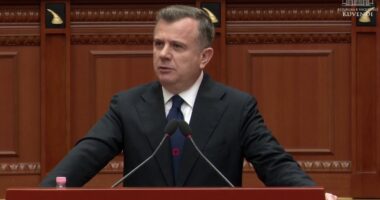 Vëllai i deputetes së PD, u arrestua për drogë/ Balla-opozitës në Kuvend: Mendoni ç’do kishit bërë po të ishte nga ne