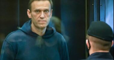 Britania: Lideri opozitar rus u vra me helm nga toksinat e bretkosës, Kremlini fajtor!