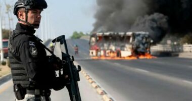 Kupa e Botës dhe dhuna e kartelëve meksikanë/ Sa rrezikojnë ndeshjet e kampionatit më të rëndësishëm të futbollit?